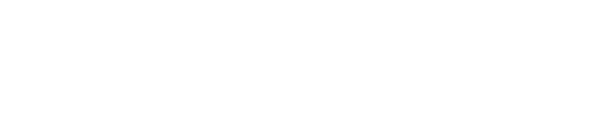 LogoWebwhite Livzing