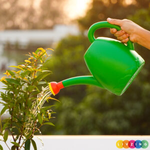 Plastic Watering Can