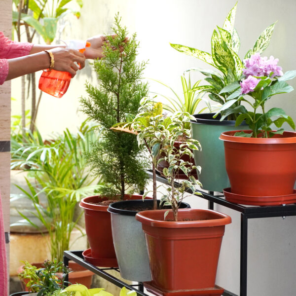 3 Tier Ladder Plant Stand