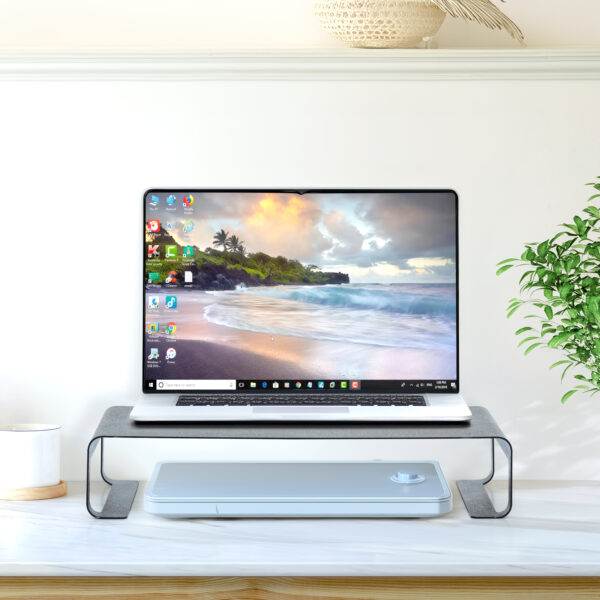 Monitor Riser Desk Organizer