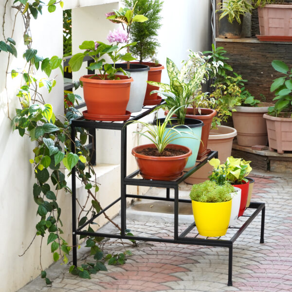 3 Tier Ladder Plant Stand