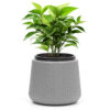 7 inch Self Watering Flower Pots-Grey
