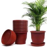 Plastic Flower Pot with Bottom Tray Set - 9 Inch