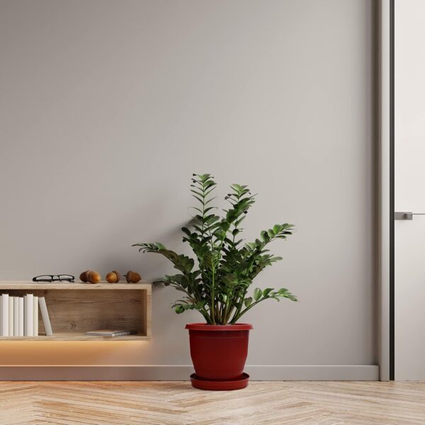 Plastic Flower Pot with Bottom Tray Set - 9 Inch