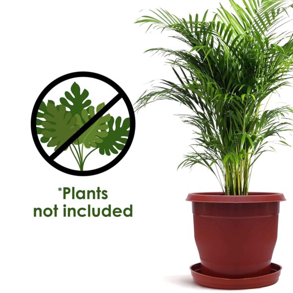 Plastic Flower Pot with Bottom Tray Set - 9 Inch