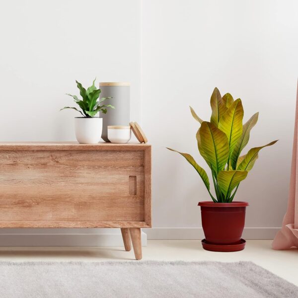 Plastic Flower Pot with Bottom Tray Set - 9 Inch