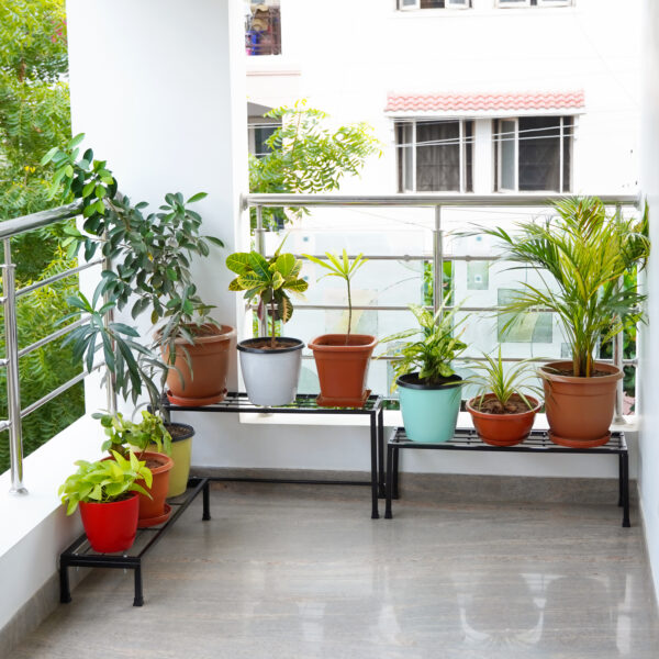 Tiered Plant Stands with Different Heights