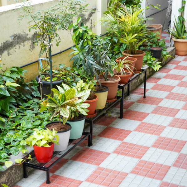 Tiered Plant Stands with Different Heights